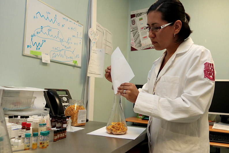 Investigadores mexicanos usan desechos de jitomate para hacer bioplástico