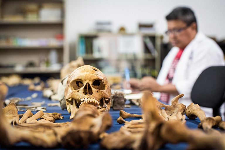 Antropología forense herramienta de búsqueda de desaparecidos