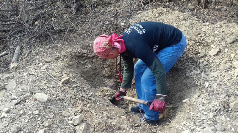 Hallan 12 cuerpos en tres fosas clandestinas en Guerrero