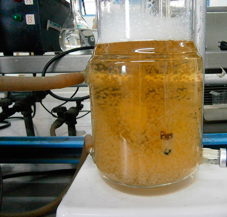 obtención en laboratorio del bioplástico a partir del agave. Foto: Investigación & Desarrollo México.