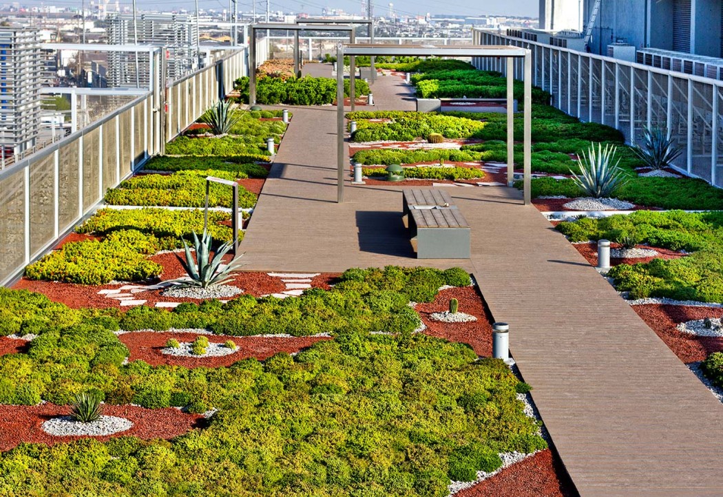 Azoteas verdes: un oasis de vida en ciudades de concreto