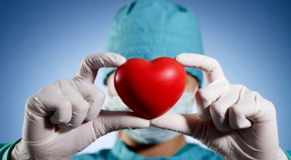 ¿Cuánto sabes de donación de órganos ?